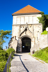 Fototapeta na wymiar Zygmunta Gate, Zamek w Bratysławie, Słowacja