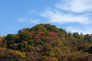 Obraz premium The image of beautiful scenery