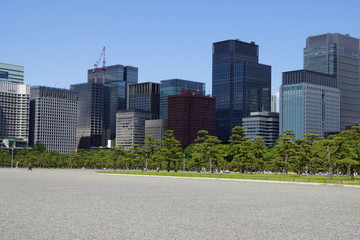皇居前広場と丸の内オフィス街