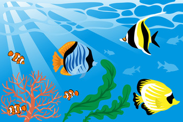 Fototapeta na wymiar Underwater, Tropical Fish and Sea Life