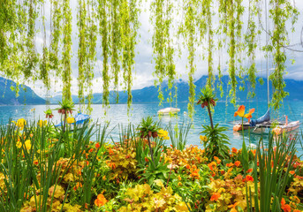 Flower shore and mountains, Montreux. Switzerland