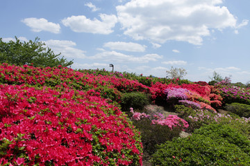 The image of beautiful nature © wizdata