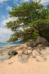 Landscape of El Nido. Palawan island. Philippines.
