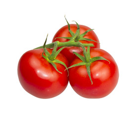 Closeup of tomatoes on the vine isolated on white