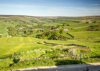 winding footpath through summer fields