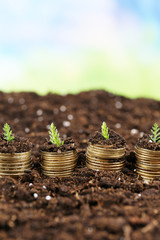 Business concept: golden coins in soil with young plants