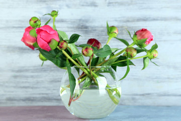 Beautiful peonies in vase on color wooden  background