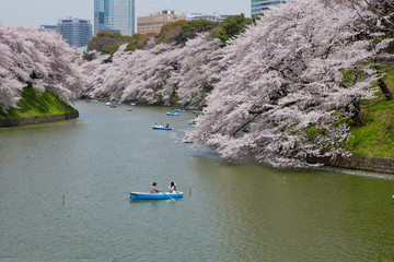 The image of beautiful nature