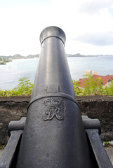 Cannon in St George's Fort Grenada