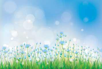 Fototapeta premium Vector nature background with blue flowers.