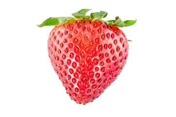 Organic Strawberry fruits