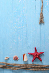 rope shells starfish