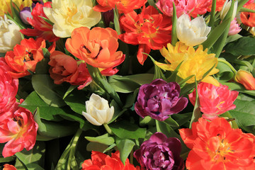 Multicolored tulip bouquet