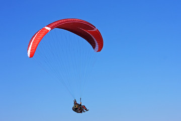 paraglider