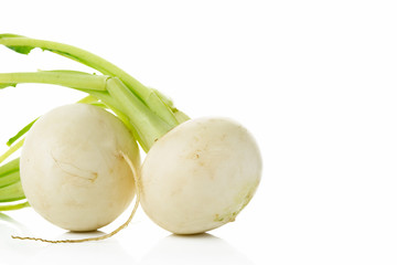 カブ Turnip 白背景