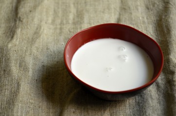 Leche de coco 1