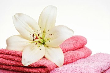 Pink towel and white lily flower, isolated on white background.