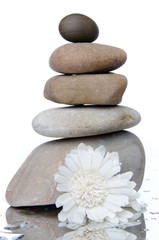 Composition of stacked pebbles with a white flower