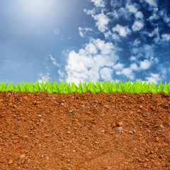 cross section of grass and soil against blue sky and clouds