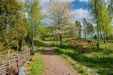 Springtime in Sweden - a sunny day in the countryside of Smaland