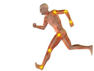 3D human man anatomy with articular pain