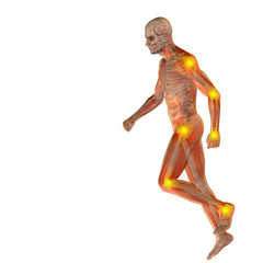 3D human man anatomy with articular pain