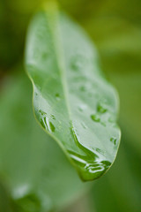 The image of landscape