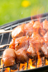 Grilled chicken skewer