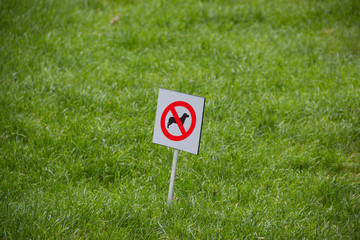 Bilder und Videos suchen: hundescheiße