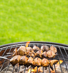 Grilled chicken skewer