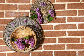 Beautiful lilac flowers in wicker basket