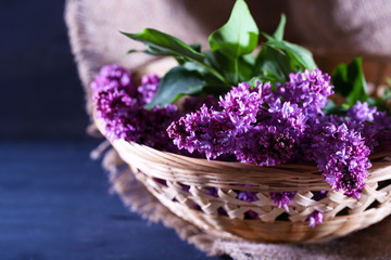Fototapeta premium Beautiful lilac flowers in wicker basket,