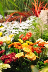 Fototapeta na wymiar Floralies Nantes