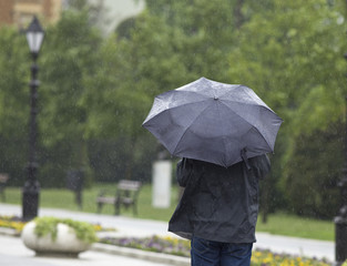 Rainy day