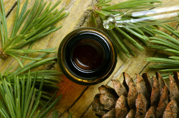 Pinus Pine Pin Kiefern Sosna Сосна Çam סאסנע