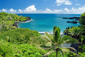 Naklejka premium Hawaii paradise on Maui island