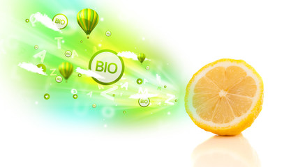 Colorful juicy fruits with green eco signs and icons