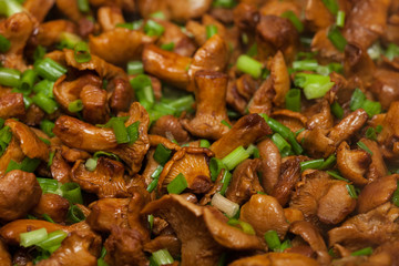 Fried chanterelle