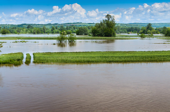 Cultivated field flooded with damage from water, Serbia
