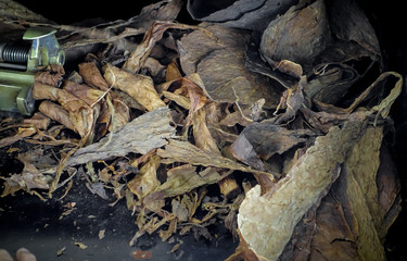 Cigar factory, Mexico City, Mexico