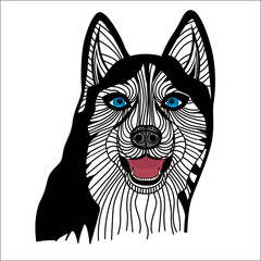 Dog husky head vector Graphics