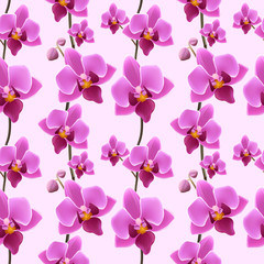 Orchid blossom seamless pattern