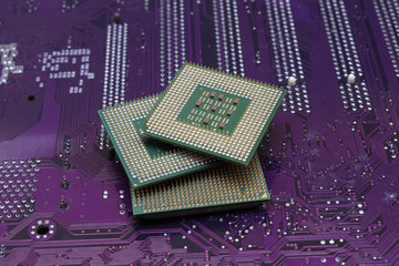 processors on the motherboard