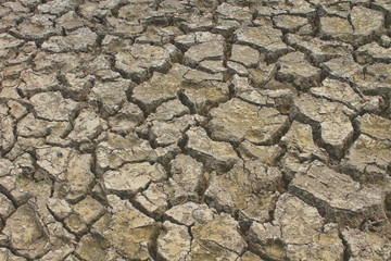 Texture of cracked soil ground