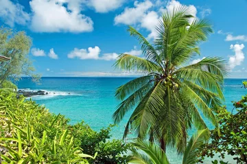  Hawaii paradise on Maui island © Vacclav