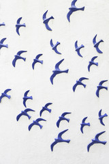 Birds on a wooden wall