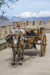 Sicilian cart