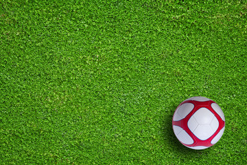 Natural green grass soccer field © IvicaNS