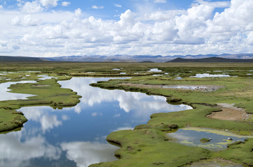 Fototapeta premium green field, with water and blue sky and clouds in southern Peru