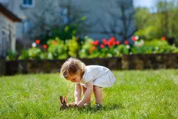 child with a rabbit on the grass